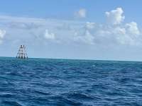Great day of scuba diving in Key Largo with Rainbow Reef on spanish anchor tropical destiny 2024 08 26 r16385 1
