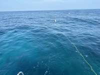 Great day of scuba diving in Key Largo with Rainbow Reef on spanish anchor tropical serenity 2024 08 21 r16354 1