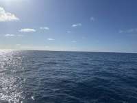 Great day of scuba diving in Key Largo with Rainbow Reef on spiegel grove tropical destiny 2024 08 14 r16295 1