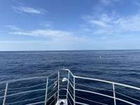 Great day of scuba diving in Key Largo with Rainbow Reef on spiegel grove tropical odyssey 2024 08 10 r16259 1