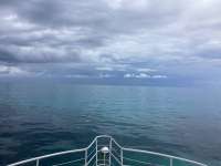 Great day of scuba diving in Key Largo with Rainbow Reef on the horseshoe tropical odyssey 2024 08 18 r16330 1