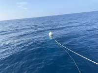 Great day of scuba diving in Key Largo with Rainbow Reef on uscgc bibb tropical odyssey 2024 08 21 r16352 1