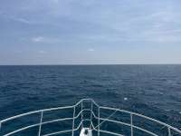 Great day of scuba diving in Key Largo with Rainbow Reef on wellwood tropical destiny 2024 08 20 r16347 1