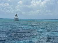Great day of scuba diving in Key Largo with Rainbow Reef on wellwood tropical odyssey 2024 08 13 r16288 1
