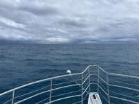Great day of scuba diving in Key Largo with Rainbow Reef on woodys tropical odyssey 2024 08 31 r16414 1
