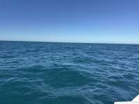 Great day of scuba diving in Key Largo with Rainbow Reef on benwood wreck tropical serenity 2024 12 20 r17136 1