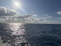 Great day of scuba diving in Key Largo with Rainbow Reef on benwood wreck tropical serenity 2024 12 23 r17163 1