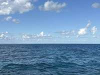 Great day of scuba diving in Key Largo with Rainbow Reef on christ statue tropical serenity 2024 12 23 r17169 1