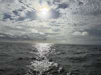 Great day of scuba diving in Key Largo with Rainbow Reef on city of washington tropical serenity 2024 12 25 r17179 1