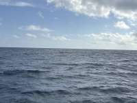 Great day of scuba diving in Key Largo with Rainbow Reef on conch wall north tropical serenity 2024 12 11 r17094 1