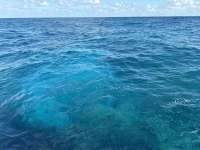 Great day of scuba diving in Key Largo with Rainbow Reef on coral canyons tropical serenity 2024 12 09 r17078 1