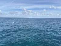 Great day of scuba diving in Key Largo with Rainbow Reef on fire coral cave tropical odyssey 2024 12 05 r17057 1
