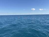 Great day of scuba diving in Key Largo with Rainbow Reef on french reef tropical destiny 2024 12 20 r17141 1