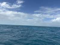 Great day of scuba diving in Key Largo with Rainbow Reef on french reef tropical serenity 2024 12 16 r17113 1