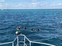 Great day of scuba diving in Key Largo with Rainbow Reef on hole in the wall tropical serenity 2024 12 20 r17142 1
