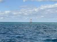 Great day of scuba diving in Key Largo with Rainbow Reef on jjs cave tropical serenity 2024 12 04 r17051 1