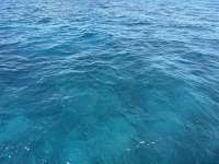 Great day of scuba diving in Key Largo with Rainbow Reef on jjs cave tropical serenity 2024 12 31 r17236 1