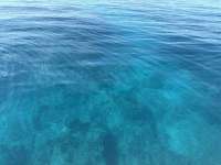 Great day of scuba diving in Key Largo with Rainbow Reef on mikes wreck tropical serenity 2024 12 06 r17064 1