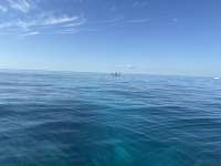 Great day of scuba diving in Key Largo with Rainbow Reef on mikes wreck tropical serenity 2024 12 06 r17064 2