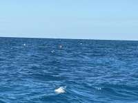 Great day of scuba diving in Key Largo with Rainbow Reef on molasses reef tropical destiny 2024 12 20 r17140 1