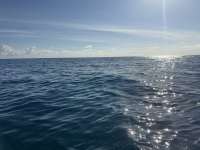Great day of scuba diving in Key Largo with Rainbow Reef on nine channel tropical serenity 2024 12 30 r17211 1