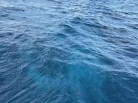 Great day of scuba diving in Key Largo with Rainbow Reef on north dry rocks tropical serenity 2024 12 23 r17167 1