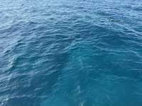 Great day of scuba diving in Key Largo with Rainbow Reef on north star tropical serenity 2024 12 31 r17240 1