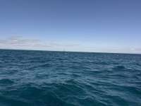 Great day of scuba diving in Key Largo with Rainbow Reef on permit ledges tropical odyssey 2024 12 01 r17039 1