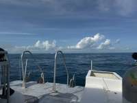 Great day of scuba diving in Key Largo with Rainbow Reef on permit ledges tropical odyssey 2024 12 30 r17219 1