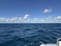 Great day of scuba diving in Key Largo with Rainbow Reef on snapper ledge tropical odyssey 2024 12 23 r17168 1
