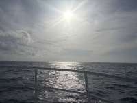 Great day of scuba diving in Key Largo with Rainbow Reef on snapper ledge tropical serenity 2024 12 11 r17096 1