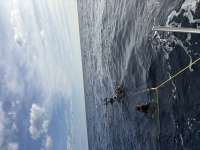 Great day of scuba diving in Key Largo with Rainbow Reef on uscgc duane tropical odyssey 2024 12 05 r17053 1