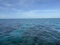 Great day of scuba diving in Key Largo with Rainbow Reef on wellwood tropical serenity 2024 12 31 r17229 1