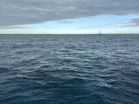 Great day of scuba diving in Key Largo with Rainbow Reef on winch hole tropical serenity 2024 12 24 r17171 1
