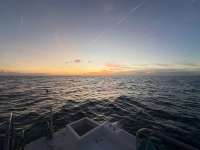 Great day of scuba diving in Key Largo with Rainbow Reef on benwood wreck tropical odyssey 2024 02 01 r15084 1