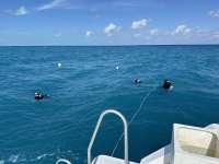 Great day of scuba diving in Key Largo with Rainbow Reef on benwood wreck tropical serenity 2024 02 28 r15176 1
