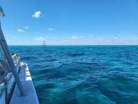 Great day of scuba diving in Key Largo with Rainbow Reef on eagle ray alley tropical serenity 2024 02 27 r15173 1
