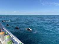 Great day of scuba diving in Key Largo with Rainbow Reef on molasses reef tropical serenity 2024 02 24 r15165 1