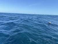 Great day of scuba diving in Key Largo with Rainbow Reef on molasses reef tropical serenity 2024 02 28 r15174 1