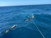 Great day of scuba diving in Key Largo with Rainbow Reef on spiegel grove tropical destiny 2024 02 07 r15096 1