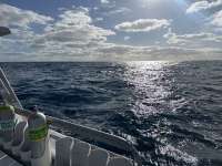 Great day of scuba diving in Key Largo with Rainbow Reef on spiegel grove tropical destiny 2024 02 08 r15101 1