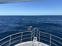 Great day of scuba diving in Key Largo with Rainbow Reef on spiegel grove tropical odyssey 2024 02 22 r15155 1