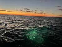 Great day of scuba diving in Key Largo with Rainbow Reef on benwood wreck tropical destiny 2024 01 30 r15073 1