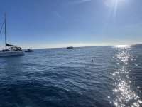 Great day of scuba diving in Key Largo with Rainbow Reef on christ statue tropical serenity 2024 01 01 r14976 1