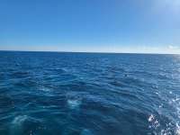 Great day of scuba diving in Key Largo with Rainbow Reef on fire coral cave tropical legend 2024 01 31 r15075 1