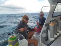 Great day of scuba diving in Key Largo with Rainbow Reef on hole in the wall tropical serenity 2024 01 05 r14991 1