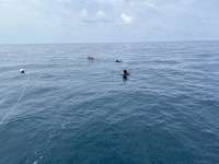 Great day of scuba diving in Key Largo with Rainbow Reef on benwood wreck tropical odyssey 2024 07 10 r16031 1