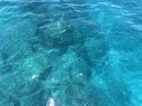 Great day of scuba diving in Key Largo with Rainbow Reef on christmastree cave tropical destiny 2024 07 31 r16196 1