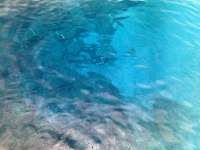 Great day of scuba diving in Key Largo with Rainbow Reef on christmastree cave tropical odyssey 2024 07 10 r16034 1