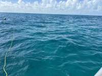 Great day of scuba diving in Key Largo with Rainbow Reef on city of washington tropical serenity 2024 07 04 r15987 1